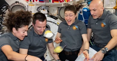 UZAYDA AYLAR GEÇİRMEK, YERÇEKİMİ ALGISINI DEĞİŞTİRİYOR