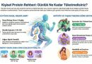 Kişiye Özel Protein Karnesi: Yaşınıza ve Hareketinize Göre Ne Kadar Tüketmelisiniz?