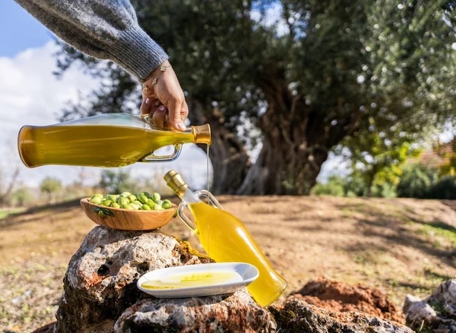 Koruyucu Tıp Uzmanından “Well-Aging” Manifestosu: Ömrü Uzatan 4 Temel Biyolojik Alışkanlık!