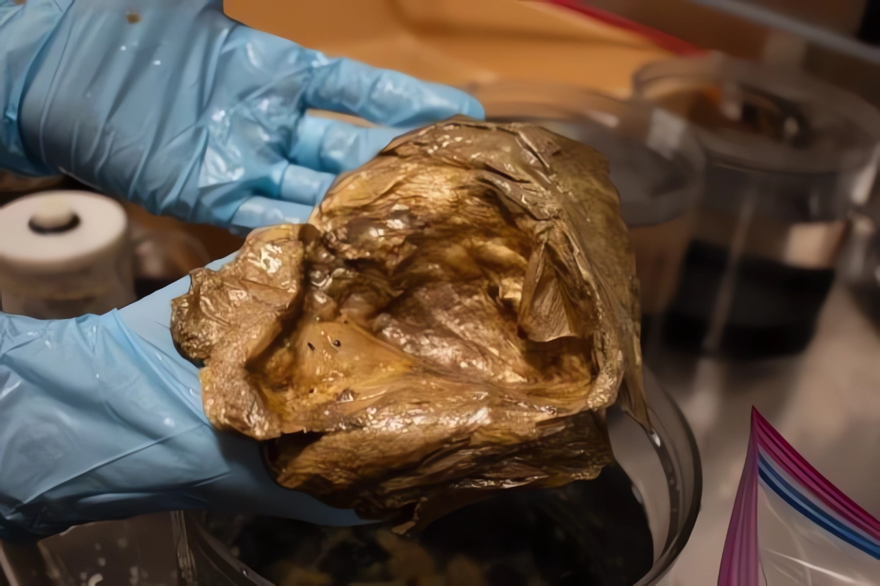 DENİZİN DİBİNDEKİ ALTIN KÜRENİN SIRRI ÇÖZÜLDÜ