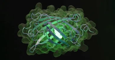 OpenAI, Biyolojik Araştırmalar İçin GPT-Rosalind’i Geliştirdi